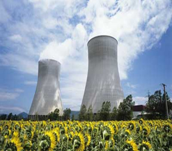 Solution of nuclear power plant piping system